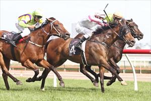 Apprentice keeps cool to outride his claim